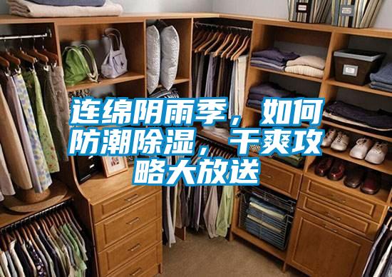 連綿陰雨季，如何防潮除濕，干爽攻略大放送