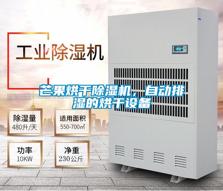 芒果烘干除濕機(jī)，自動(dòng)排濕的烘干設(shè)備