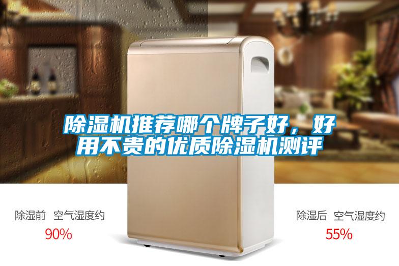 除濕機(jī)推薦哪個牌子好，好用不貴的優(yōu)質(zhì)除濕機(jī)測評