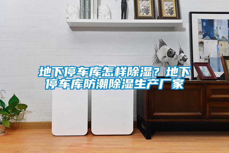 地下停車庫(kù)怎樣除濕？地下停車庫(kù)防潮除濕生產(chǎn)廠家
