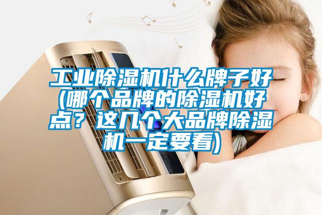 工業(yè)除濕機(jī)什么牌子好(哪個(gè)品牌的除濕機(jī)好點(diǎn)？這幾個(gè)大品牌除濕機(jī)一定要看)