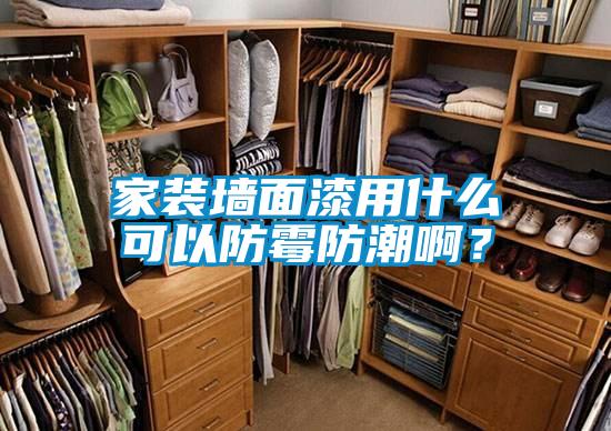 家裝墻面漆用什么可以防霉防潮??？