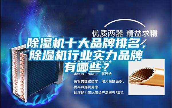 除濕機(jī)十大品牌排名，除濕機(jī)行業(yè)實(shí)力品牌有哪些？