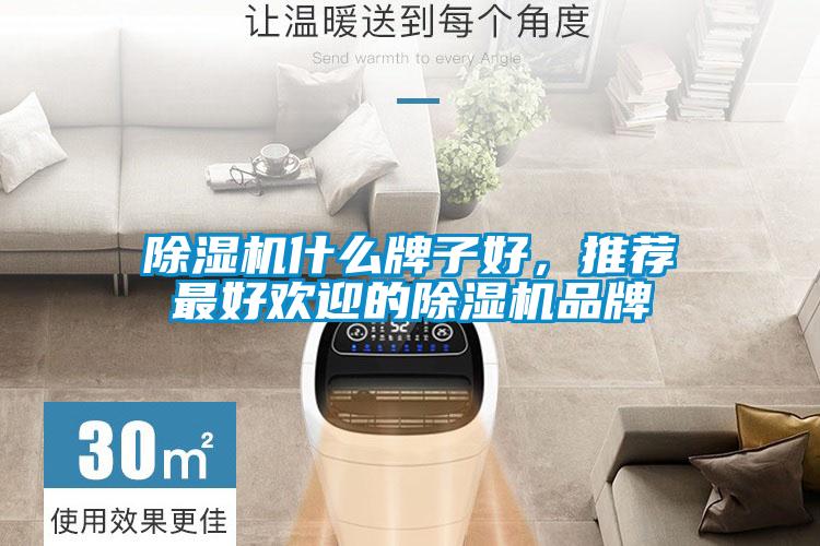 除濕機(jī)什么牌子好，推薦最好歡迎的除濕機(jī)品牌