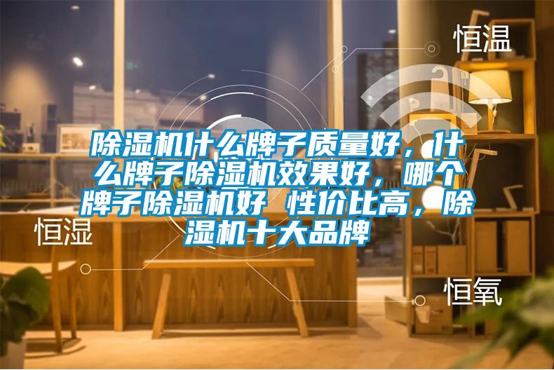 除濕機(jī)什么牌子質(zhì)量好，什么牌子除濕機(jī)效果好，哪個(gè)牌子除濕機(jī)好 性價(jià)比高，除濕機(jī)十大品牌