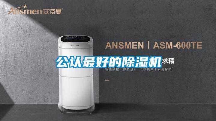 公認(rèn)最好的除濕機