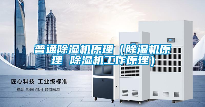 普通除濕機(jī)原理(除濕機(jī)原理 除濕機(jī)工作原理)