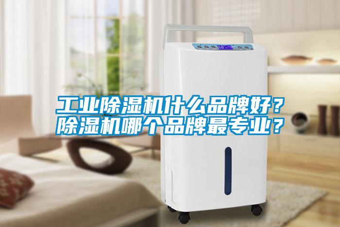 工業(yè)除濕機什么品牌好？除濕機哪個品牌最專業(yè)？
