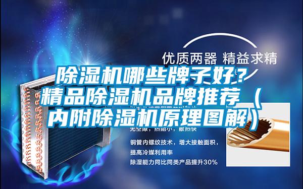 除濕機哪些牌子好？精品除濕機品牌推薦（內(nèi)附除濕機原理圖解）