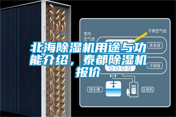 北海除濕機(jī)用途與功能介紹,泰都除濕機(jī)報價