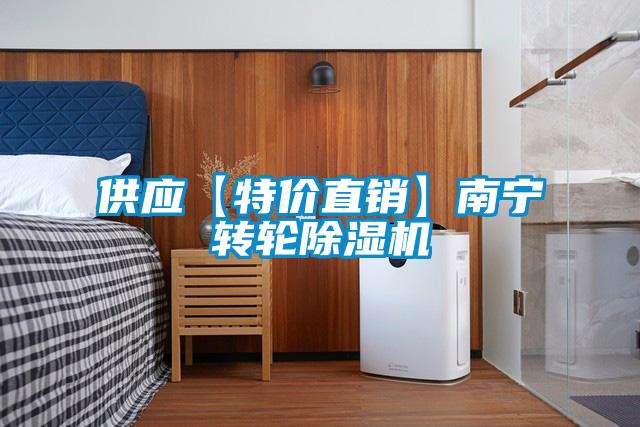 供應(yīng)【特價直銷】南寧轉(zhuǎn)輪除濕機
