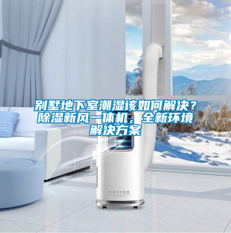 別墅地下室潮濕該如何解決？除濕新風(fēng)一體機，全新環(huán)境解決方案