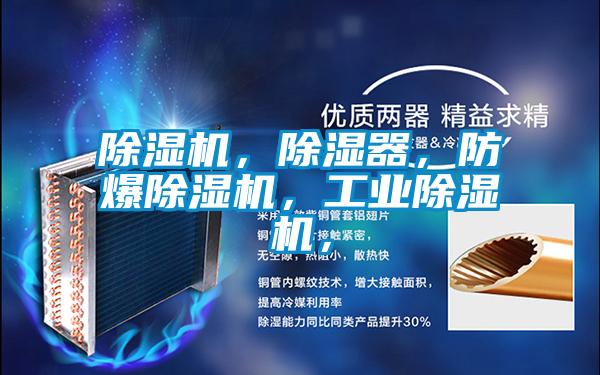 除濕機(jī)，除濕器，防爆除濕機(jī)，工業(yè)除濕機(jī)，