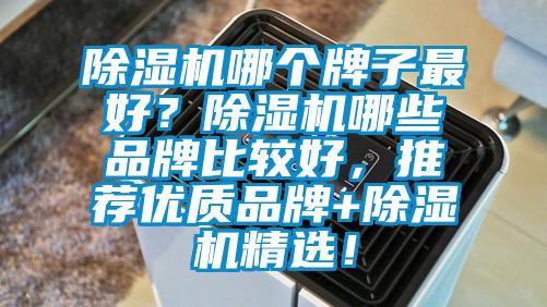 除濕機(jī)哪個(gè)牌子最好？除濕機(jī)哪些品牌比較好，推薦優(yōu)質(zhì)品牌+除濕機(jī)精選！
