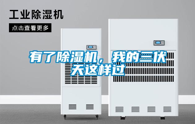 有了除濕機，我的三伏天這樣過