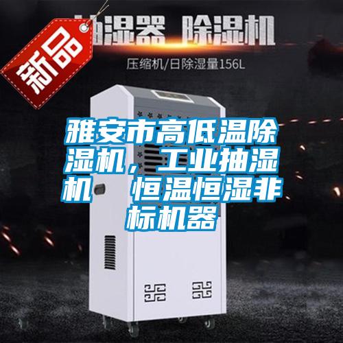 雅安市高低溫除濕機(jī)，工業(yè)抽濕機(jī)  恒溫恒濕非標(biāo)機(jī)器