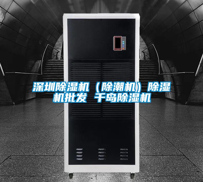 深圳除濕機(除潮機)除濕機批發(fā) 千島除濕機