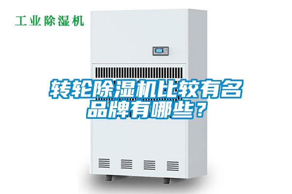 轉(zhuǎn)輪除濕機比較有名品牌有哪些？