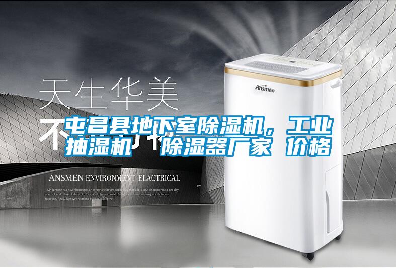 屯昌縣地下室除濕機，工業(yè)抽濕機  除濕器廠家 價格