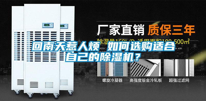 回南天惹人煩 如何選購適合自己的除濕機？
