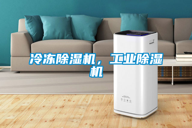 冷凍除濕機，工業(yè)除濕機