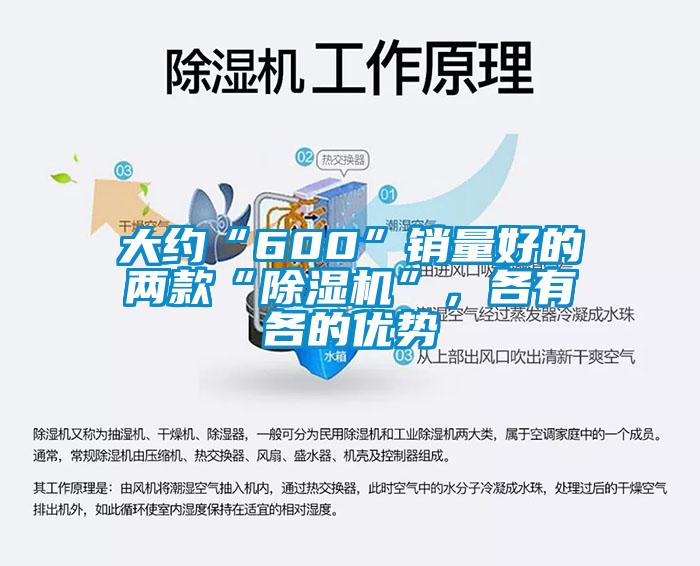 大約“600”銷量好的兩款“除濕機”，各有各的優(yōu)勢