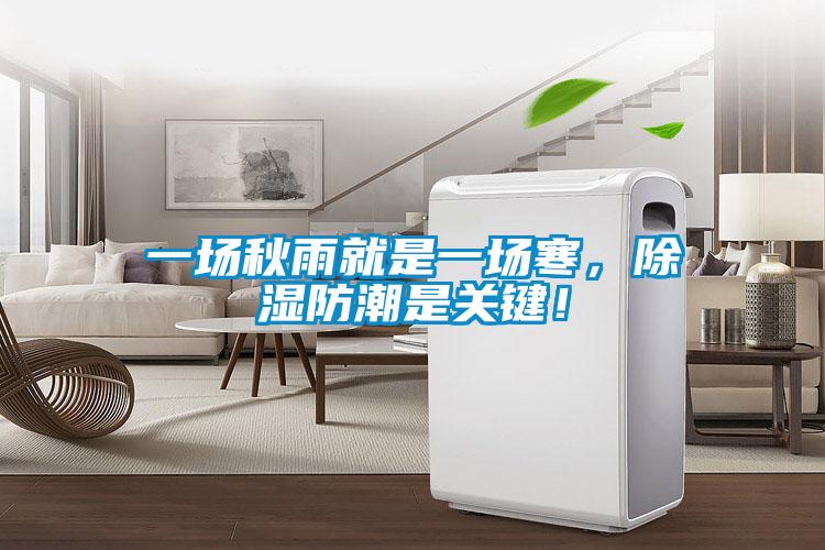 一場(chǎng)秋雨就是一場(chǎng)寒，除濕防潮是關(guān)鍵！
