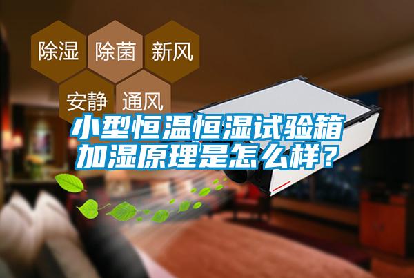 小型恒溫恒濕試驗(yàn)箱加濕原理是怎么樣？