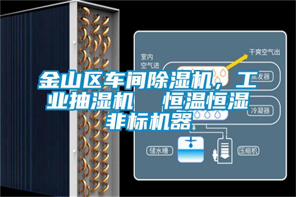 金山區(qū)車間除濕機，工業(yè)抽濕機  恒溫恒濕非標機器
