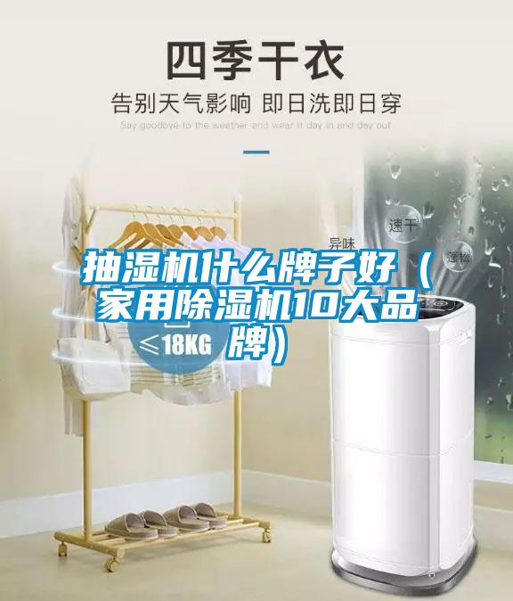 抽濕機(jī)什么牌子好(家用除濕機(jī)10大品牌)