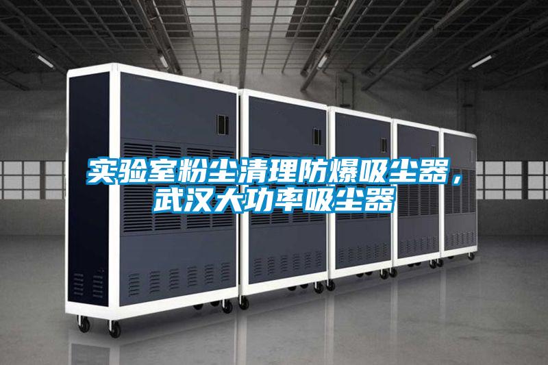 實(shí)驗(yàn)室粉塵清理防爆吸塵器，武漢大功率吸塵器