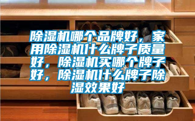 除濕機(jī)哪個(gè)品牌好，家用除濕機(jī)什么牌子質(zhì)量好，除濕機(jī)買哪個(gè)牌子好，除濕機(jī)什么牌子除濕效果好