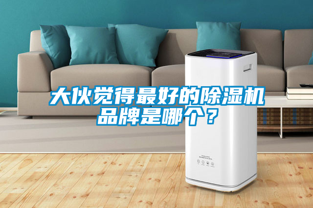 大伙覺(jué)得最好的除濕機(jī)品牌是哪個(gè)？