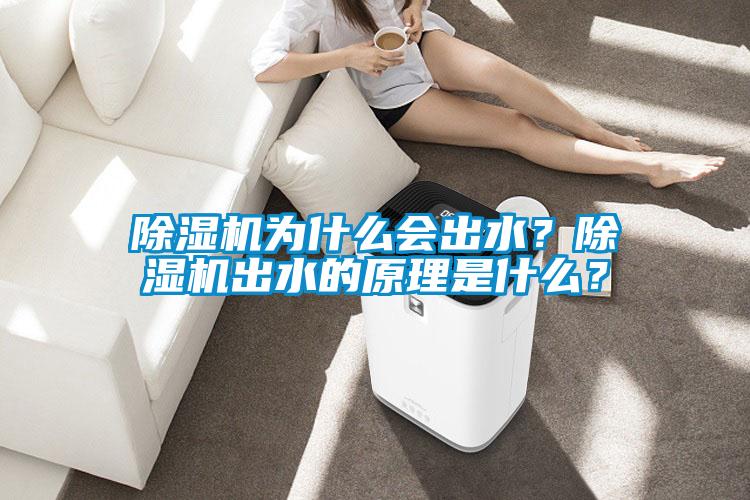 除濕機為什么會出水？除濕機出水的原理是什么？