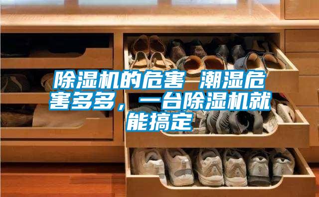 除濕機(jī)的危害 潮濕危害多多，一臺除濕機(jī)就能搞定