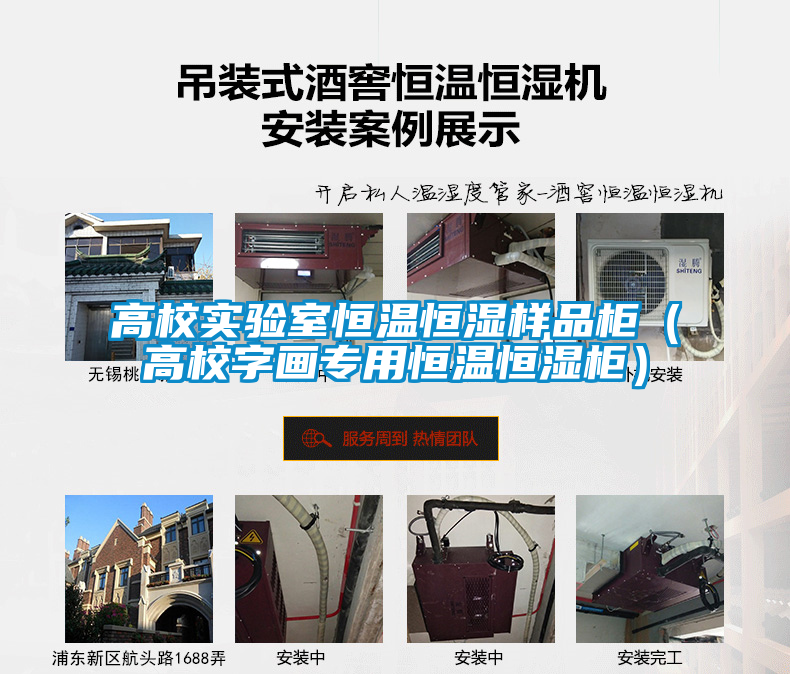 高校實(shí)驗(yàn)室恒溫恒濕樣品柜(高校字畫專用恒溫恒濕柜)