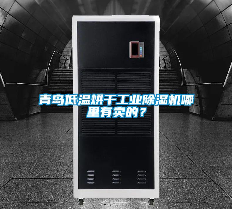 青島低溫烘干工業(yè)除濕機(jī)哪里有賣的？