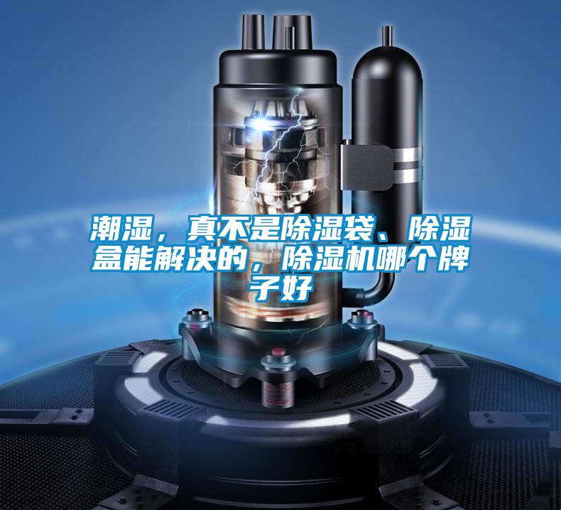 潮濕，真不是除濕袋、除濕盒能解決的，除濕機哪個牌子好