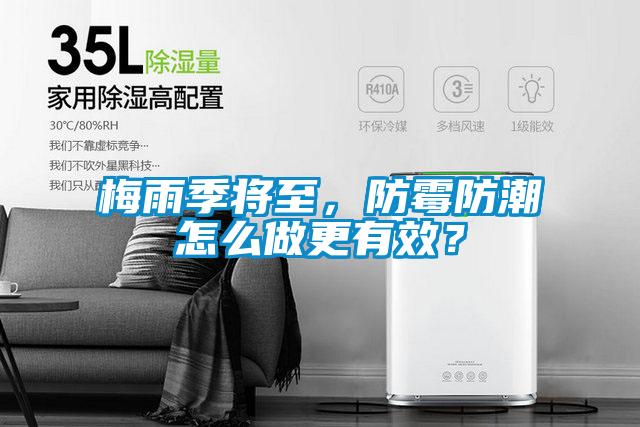 梅雨季將至，防霉防潮怎么做更有效？