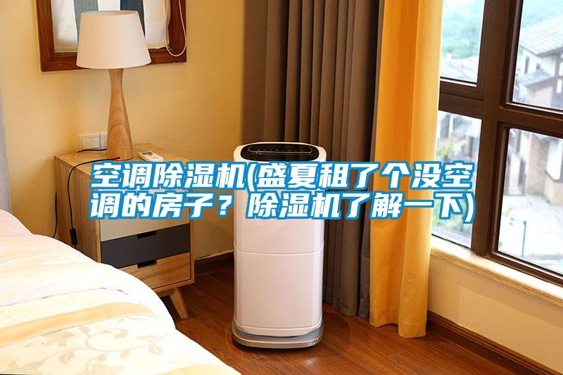 空調(diào)除濕機(盛夏租了個沒空調(diào)的房子？除濕機了解一下)