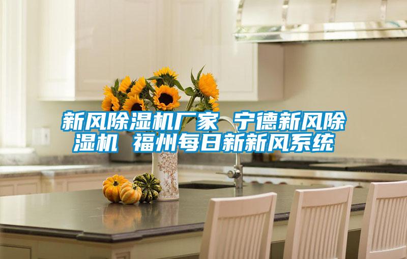 新風(fēng)除濕機廠家 寧德新風(fēng)除濕機 福州每日新新風(fēng)系統(tǒng)