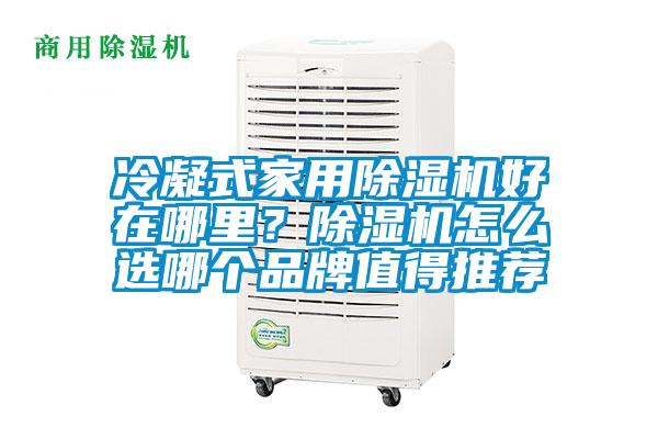 冷凝式家用除濕機好在哪里？除濕機怎么選哪個品牌值得推薦