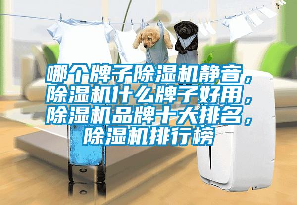哪個(gè)牌子除濕機(jī)靜音，除濕機(jī)什么牌子好用，除濕機(jī)品牌十大排名，除濕機(jī)排行榜