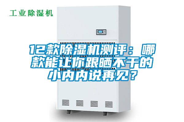 12款除濕機(jī)測評：哪款能讓你跟曬不干的小內(nèi)內(nèi)說再見？