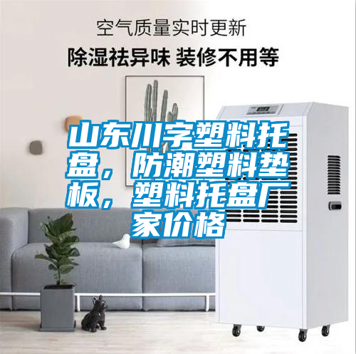 山東川字塑料托盤，防潮塑料墊板，塑料托盤廠家價(jià)格