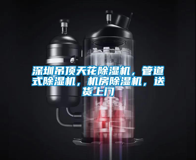 深圳吊頂天花除濕機(jī)，管道式除濕機(jī)，機(jī)房除濕機(jī)，送貨上門