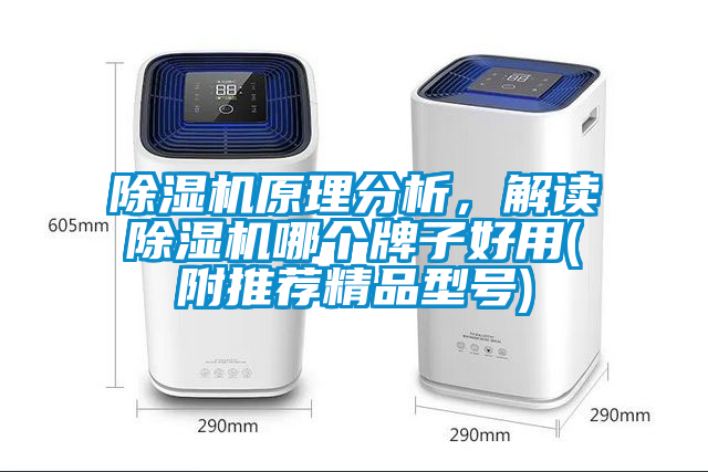 除濕機原理分析，解讀除濕機哪個牌子好用(附推薦精品型號)