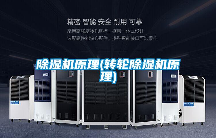 除濕機原理(轉(zhuǎn)輪除濕機原理)