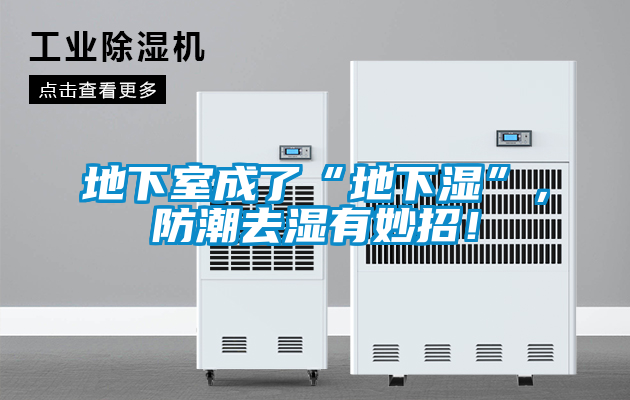 地下室成了“地下濕”，防潮去濕有妙招！