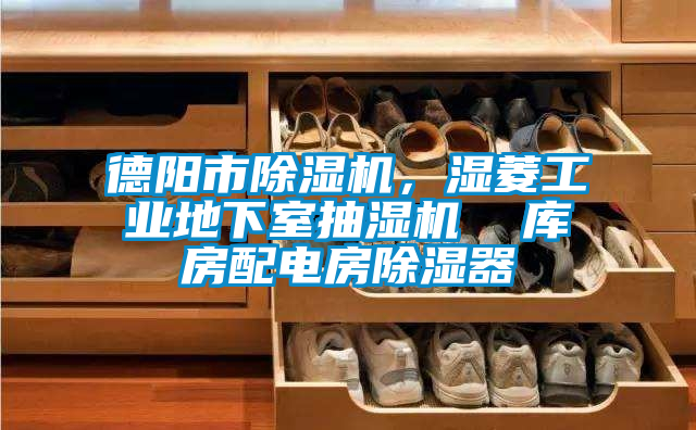 德陽市除濕機(jī)，濕菱工業(yè)地下室抽濕機(jī)  庫(kù)房配電房除濕器